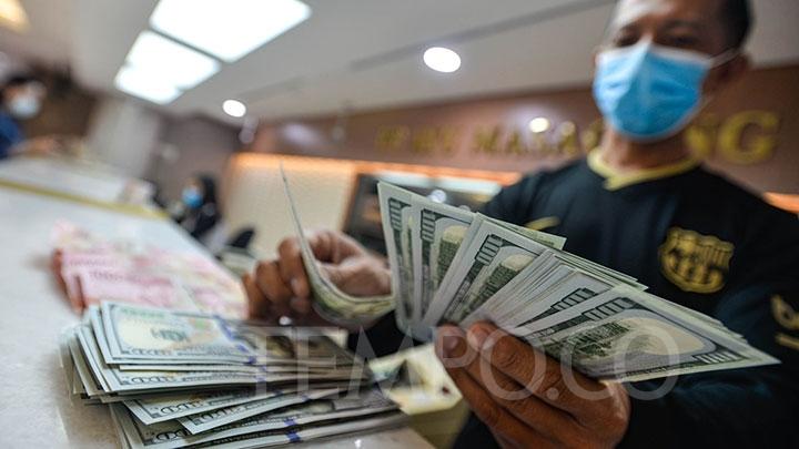 Kurs Rupiah Kian Jeblok ke 16.117 per USD, Bos Apindo Minta BI Segera Intervensi