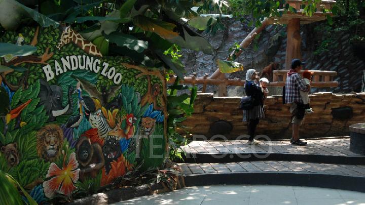 Ngabuburit di Bandung Zoo, Pengunjung Diajak Berbuka Puasa Bersama Satwa