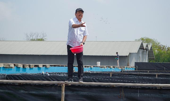 Presiden Jokowi akan Resmikan Budidaya Ikan Nila Salin Milik KKP