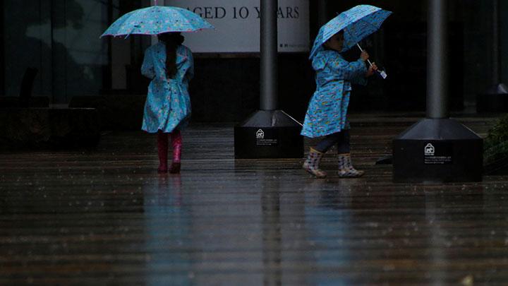 Curah Hujan Tinggi di Bogor, Ahli Meteorologi IPB Ungkap Fakta Ini