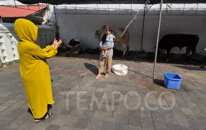 Idul Adha Yogyakarta, Sapi Sultan Hamengku Buwono X Jadi Sasaran Foto Selfie Warga