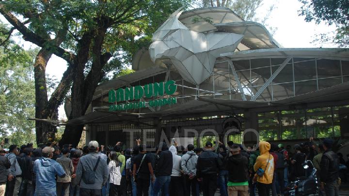 Libur Waisak, Pengunjung Bandung Zoo Naik Dua Kali Lipat