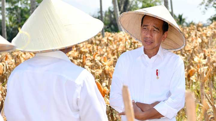 MK Tolak Dalil Jokowi Kerahkan Kepala Desa Menangkan Prabowo-Gibran