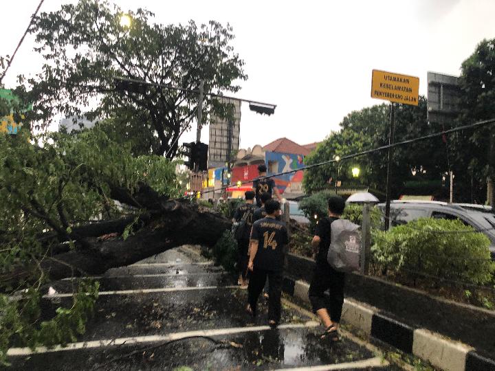 Pohon Tumbang dan Banjir Bikin Jalan Margonda Depok Macet Total