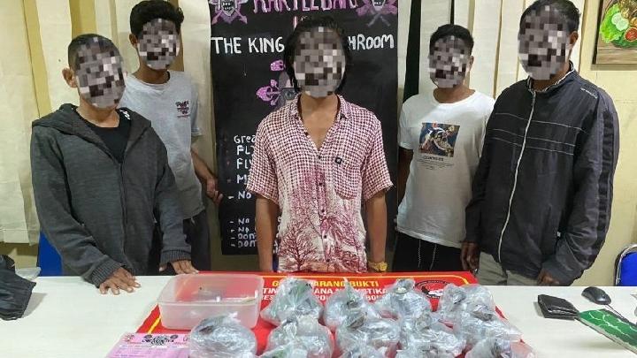 Polisi Tangkap 5 Orang Tersangka Pengedar Magic Mushroom di Gili Trawangan