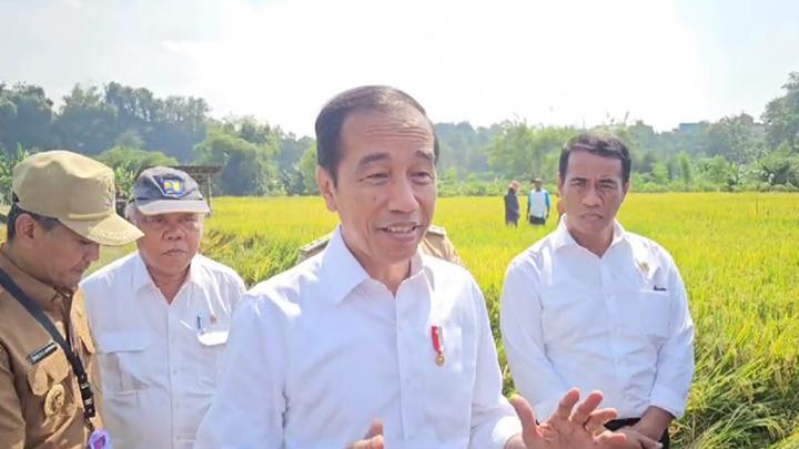 Tinjau Pompanisasi di Kalibeji, Jokowi: Dilakukan di Semua Provinsi Agar Produktivitas Naik