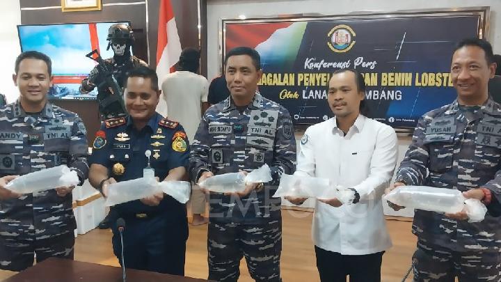 Sumatera Selatan Masuk Jalur Utama Penyelundupan Benih Lobster, 2,3 Juta Ekor Berhasil Diselamatkan Aparat