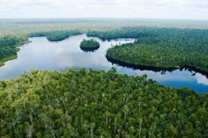 GUBERNUR PULIHKAN PEREKONOMIAN PANDEMI