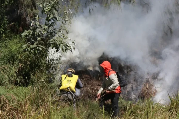 INDONESIA MASIH RAWAN KEBAKARAN HUTAN