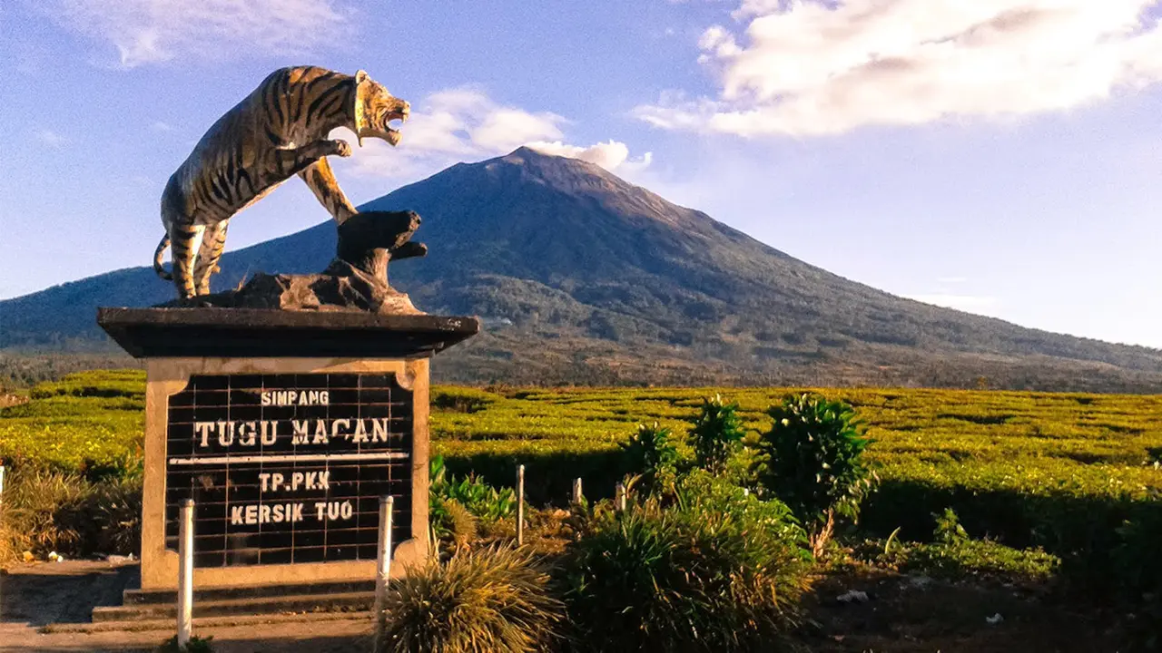 GUNUNG KERINCI HABITAT HARIMAU SUMATERA LANGKA