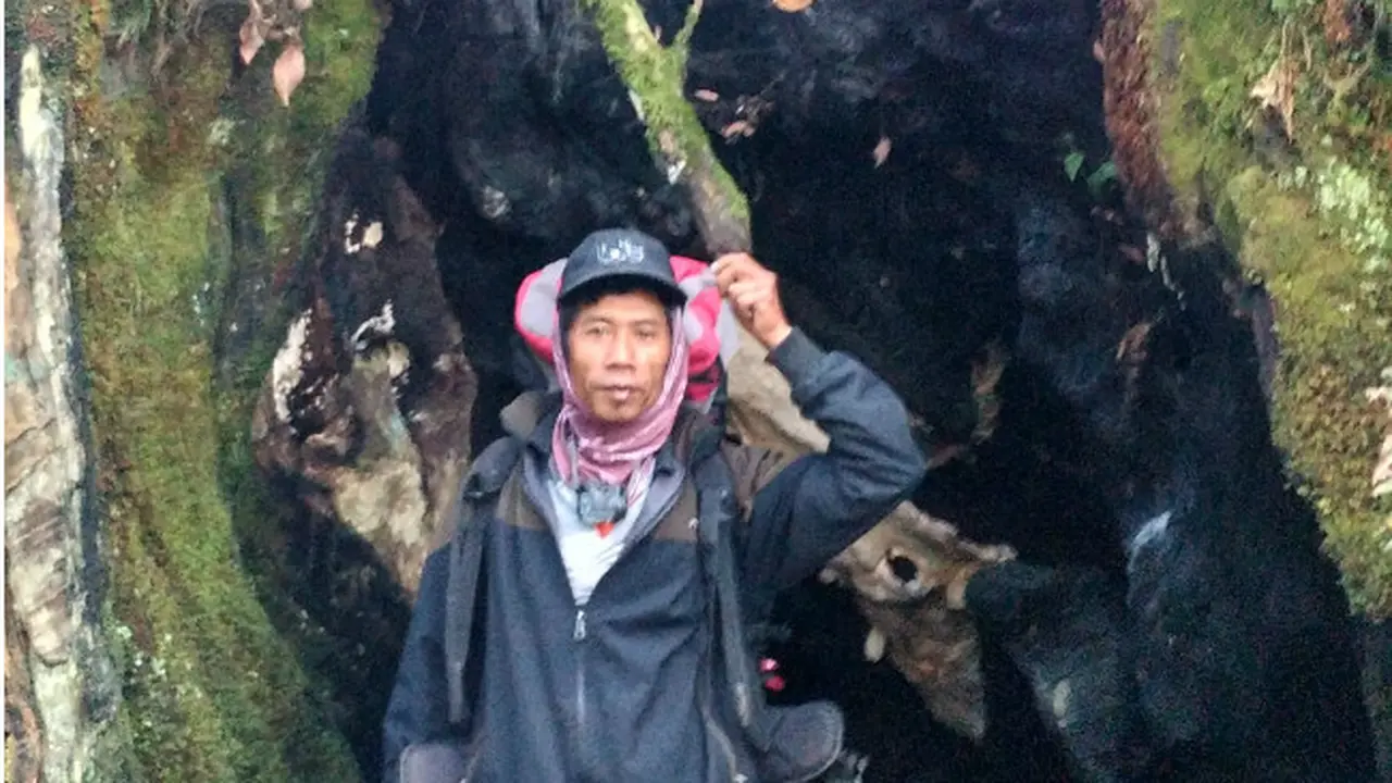 POHON BOLONG DI GUNUNG KERINCI