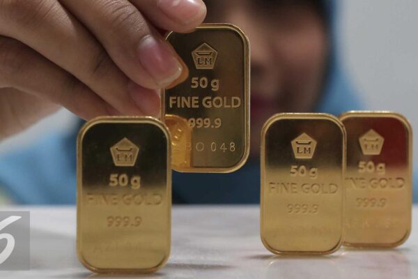 Seorang Ibu Asal Medan